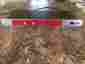 382i 3821 Bbe Sonic Maximizer