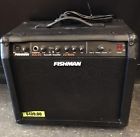 Acg-20 Fishman Guitar Amp Model