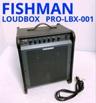 Fishman Loudbox PRO-LBX-001 Acoustic Guitar Amplifier Operation Confirmed Japan. Fixed Price $668.50.