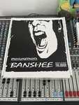 Rocktron Banshee Talk Box Wah Guitar Effect Pedal. Fixed Price $120.00.
