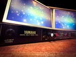 Yamaha D-1500 Rare Vintage Digital Delay. Fixed Price $1052.19.
